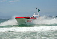 Плеттенбергский залив, Dolphin & Marine Tours - Hizvo