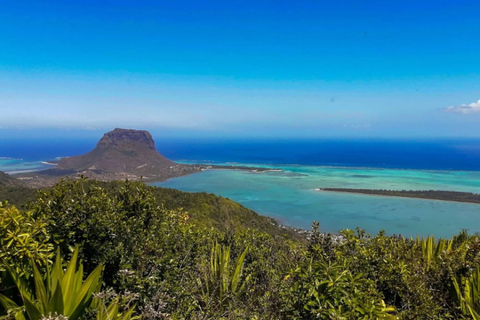 South West Mauritius : Ebony Forest Nature Escape with Lunch Into the Wild South: Ebony Forest Nature Escape with Lunch