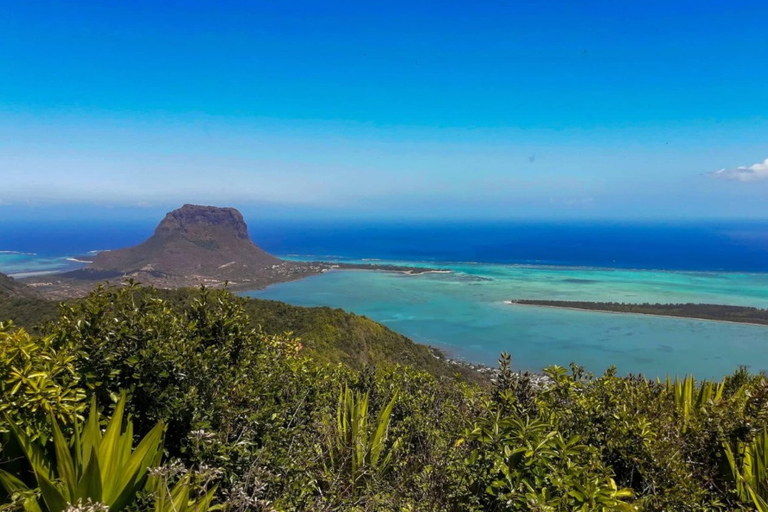 South West Mauritius : Ebony Forest Nature Escape with Lunch Into the Wild South: Ebony Forest Nature Escape with Lunch