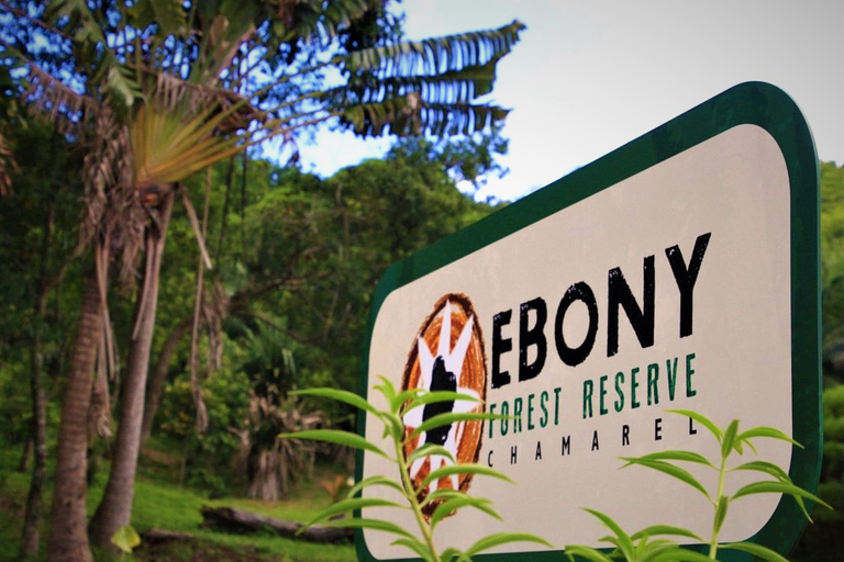 South West Mauritius : Ebony Forest Nature Escape with Lunch Into the Wild South: Ebony Forest Nature Escape with Lunch