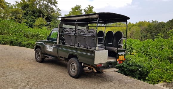 South West Mauritius : Ebony Forest Nature Escape with Lunch
