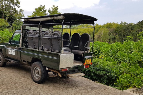 South West Mauritius : Ebony Forest Nature Escape with Lunch Into the Wild South: Ebony Forest Nature Escape with Lunch