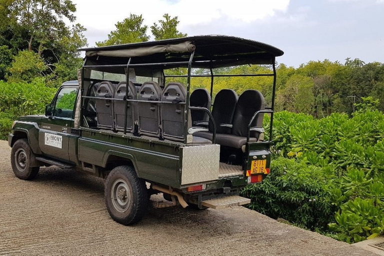 South West Mauritius : Ebony Forest Nature Escape with Lunch Into the Wild South: Ebony Forest Nature Escape with Lunch