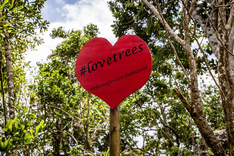 South West Mauritius : Ebony Forest Nature Escape with Lunch Into the Wild South: Ebony Forest Nature Escape with Lunch