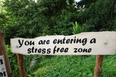 South West Mauritius : Ebony Forest Nature Escape with Lunch Into the Wild South: Ebony Forest Nature Escape with Lunch