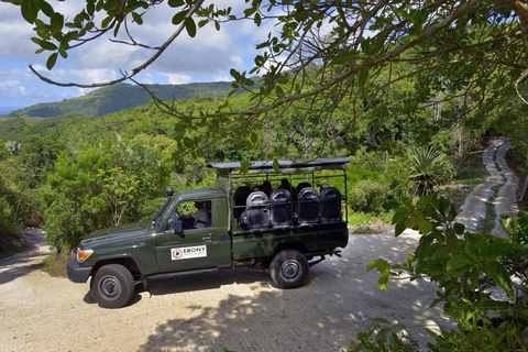 South West Mauritius : Ebony Forest Nature Escape with Lunch Into the Wild South: Ebony Forest Nature Escape with Lunch
