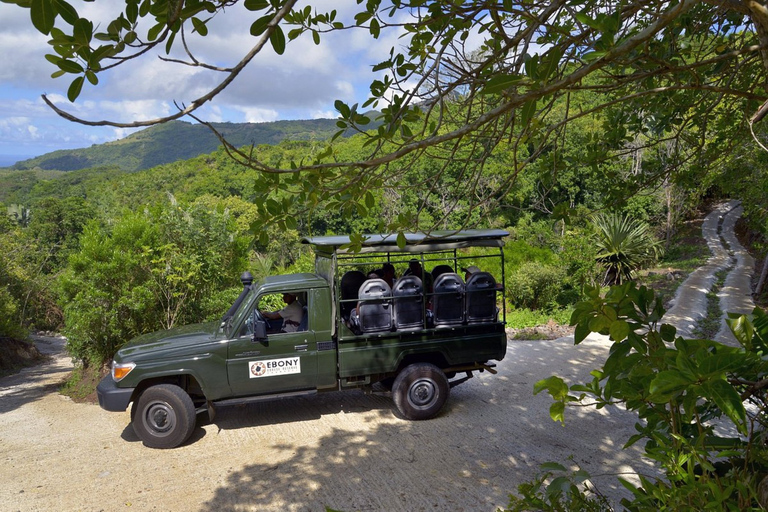 South West Mauritius : Ebony Forest Nature Escape with Lunch Into the Wild South: Ebony Forest Nature Escape with Lunch