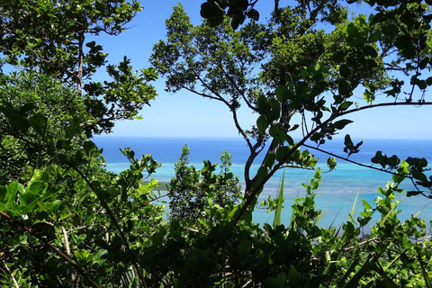 South West Mauritius : Ebony Forest Nature Escape with Lunch Into the Wild South: Ebony Forest Nature Escape with Lunch