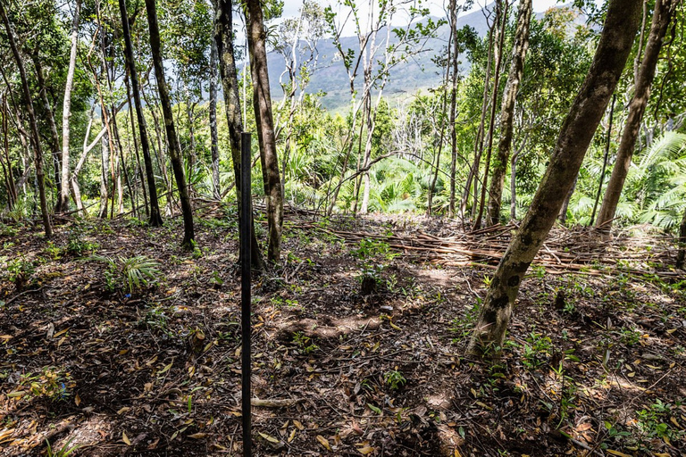 South West Mauritius : Ebony Forest Nature Escape with Lunch Into the Wild South: Ebony Forest Nature Escape with Lunch