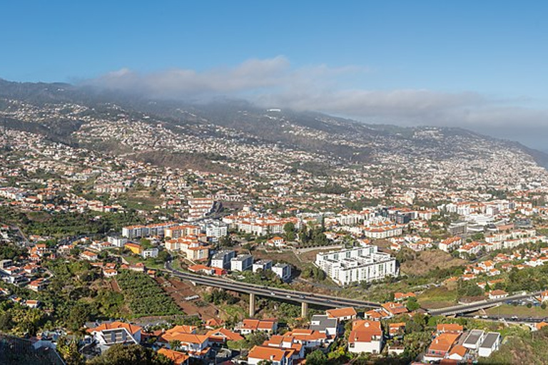 Pico dos Barcelos Tour