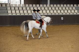 Sevilla: Eintrittskarte für die Pferdeshow. Optionaler Gestütsbesuch