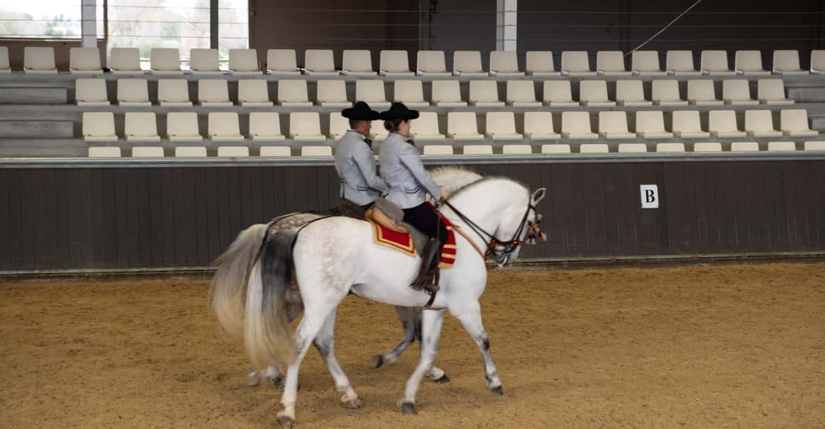 Seville Horse Show Entry Ticket. Optional Stud Farm Visit GetYourGuide