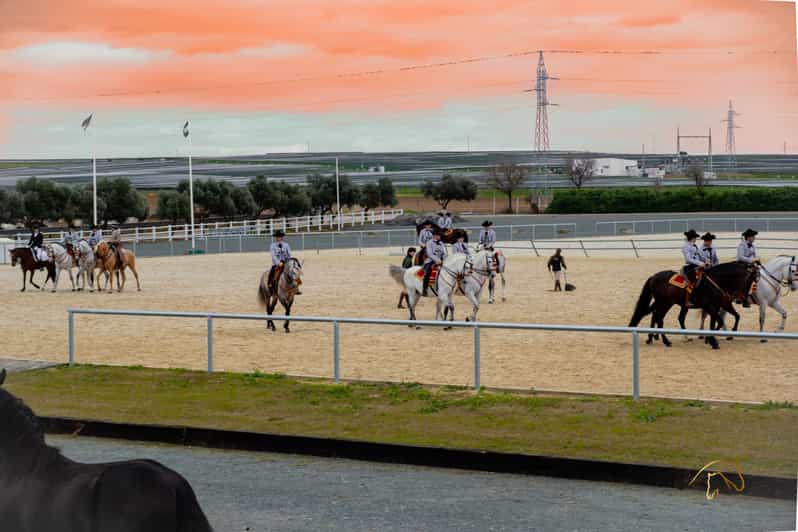Seville Horse Show Entry Ticket with Optional Stable Visit GetYourGuide