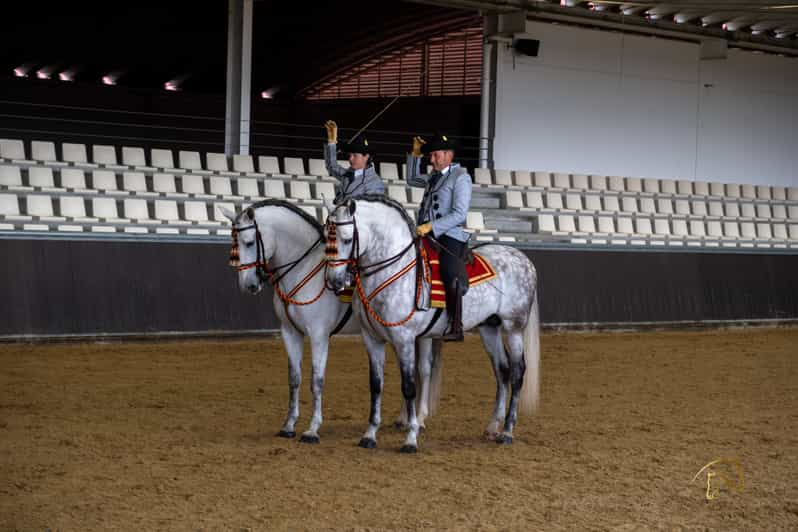 Seville Horse Show Entry Ticket with Optional Stable Visit GetYourGuide
