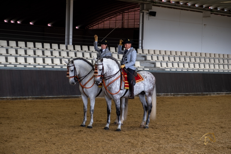Sevilla: Eintrittskarte für die Pferdeshow. Optionaler GestütsbesuchNur Eintrittskarte für die Pferdeshow