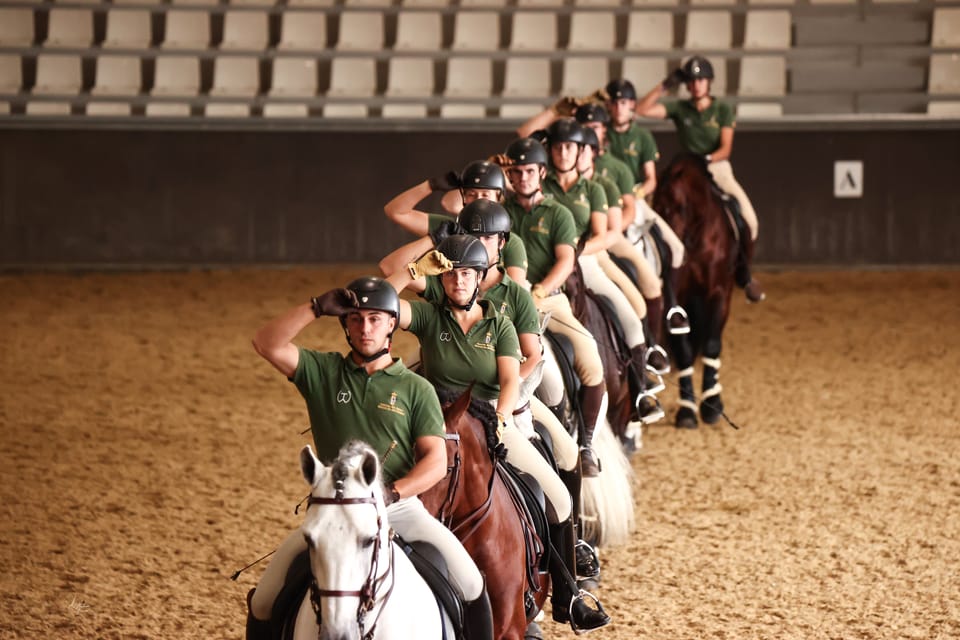 Seville Horse Show Entry Ticket. Optional Stud Farm Visit GetYourGuide