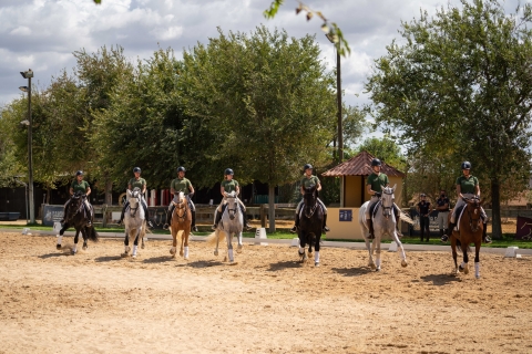 Sevilla: toegangsbewijs paardenshow. Optioneel stoeterijbezoekToegangsbewijs paardenshow en motiverend stalbezoek