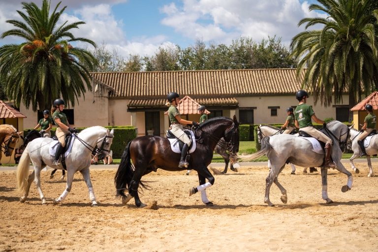 Seville: Horse Show Entry Ticket. Optional Stud Farm Visit Horse Show Entry Ticket and Motivational Stable Visit
