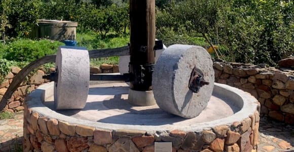 Platanias: Guided Road Trip with Olive Oil and Wine Tastings
