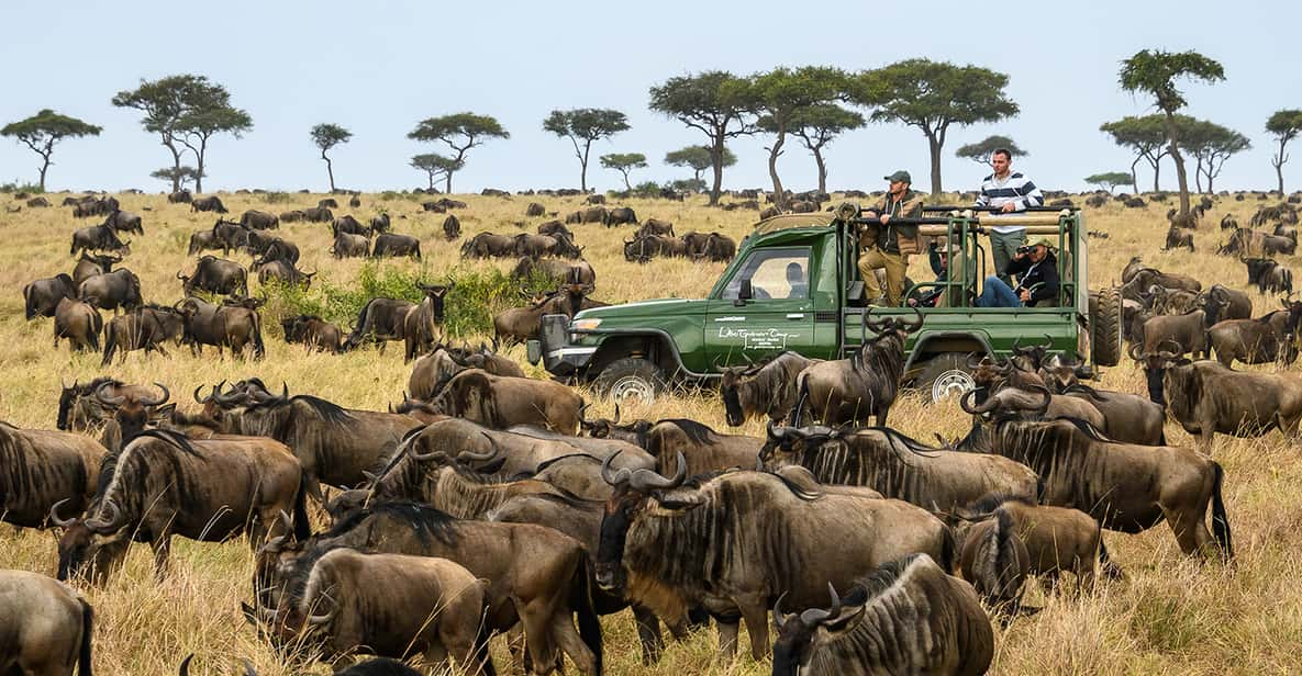 Nairobi 4 Dniowe Safari W Masai Mara I Jeziorze Nakuru — średni Zasięg