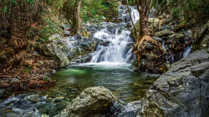 Van Paphos: wandeltocht Caledonië watervallen met lunch