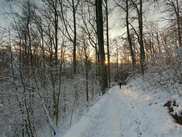Zagreb: Guided Hike in Medvednica Nature Park