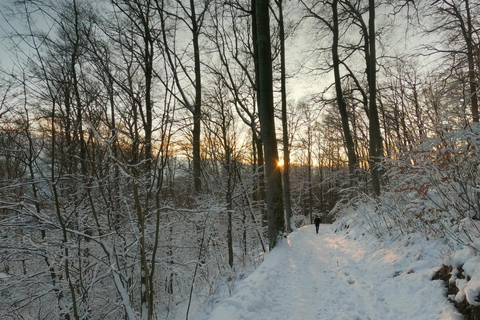 Zagreb: Guided Hike in Medvednica Nature Park