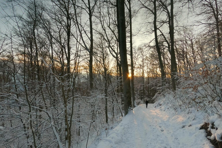 Zagreb: Guided Hike in Medvednica Nature Park