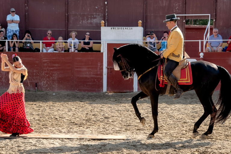 Fuengirola: Show de cavalos espanhóis com jantar opcional/FlamencoShow de Flamenco