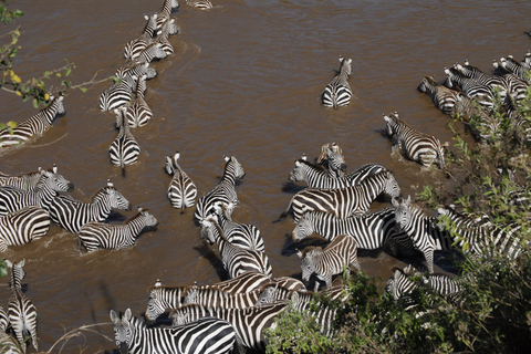 Da Nairobi: safari in jeep di lusso al Masai Mara Park di 3 giorni