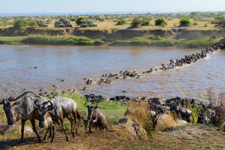 Da Nairobi: safari in jeep di lusso al Masai Mara Park di 3 giorni