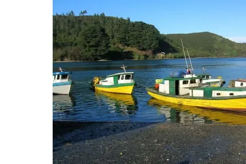 Puerto Varas: Tour privato della città di Puerto Montt e Puerto Varas