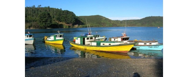 Visit Private. City Tour Puerto Montt and Puerto Varas in Puerto Montt