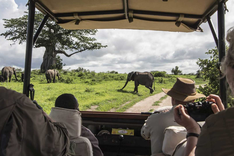 5Tage Amboseli, Lake Naivasha & Mara - Mid-Range Jeep Safari