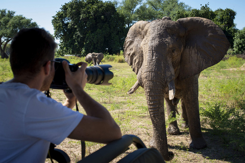 5Tage Amboseli, Lake Naivasha & Mara - Mid-Range Jeep Safari