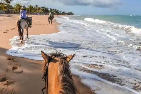 Palomino: passeio a cavalo na praia de Palomino
