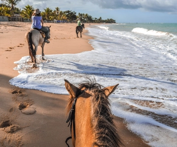 Palomino: passeio a cavalo na praia de Palomino