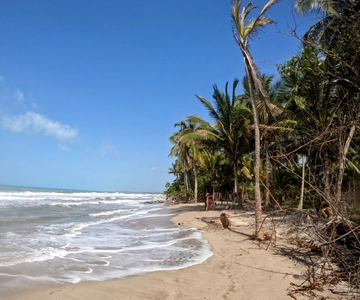 Passeio de quadriciclo Palomino