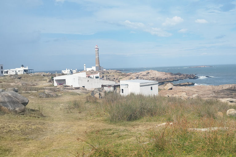 Cabo Polonio - Excursion privée d'une journée entièreCabo Polonio - Escapade d'une journée