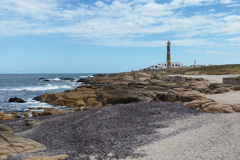 Cabo Polonio - Excursion privée d'une journée entièreCabo Polonio - Escapade d'une journée