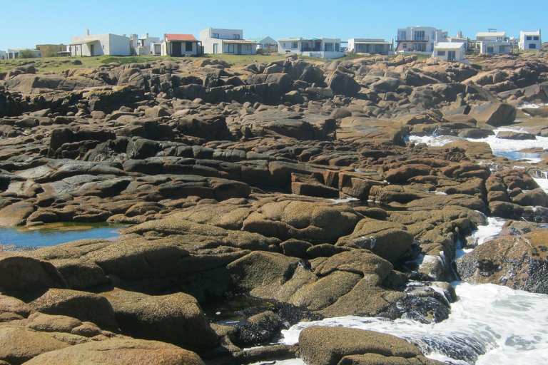 Cabo Polonio - privétour van een hele dagCabo Polonio - Uitje voor de dag