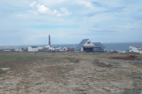 Cabo Polonio - Excursión Privada de Día CompletoCabo Polonio - Escapada de un día