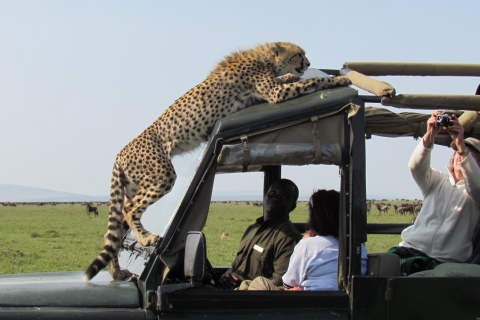 3days Masai Mara Camping Safari with a 4x4 land cruiser Jeep