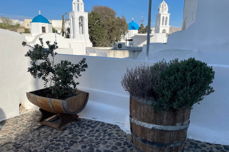 Thera: Santorini Highlights Private Custom Sightseeing Tour