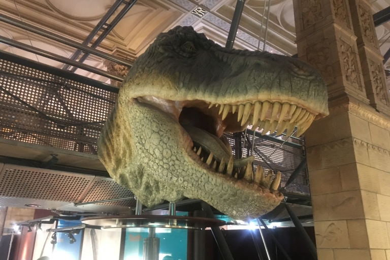 Londres: Entrada y visita guiada al Museo de Historia Natural