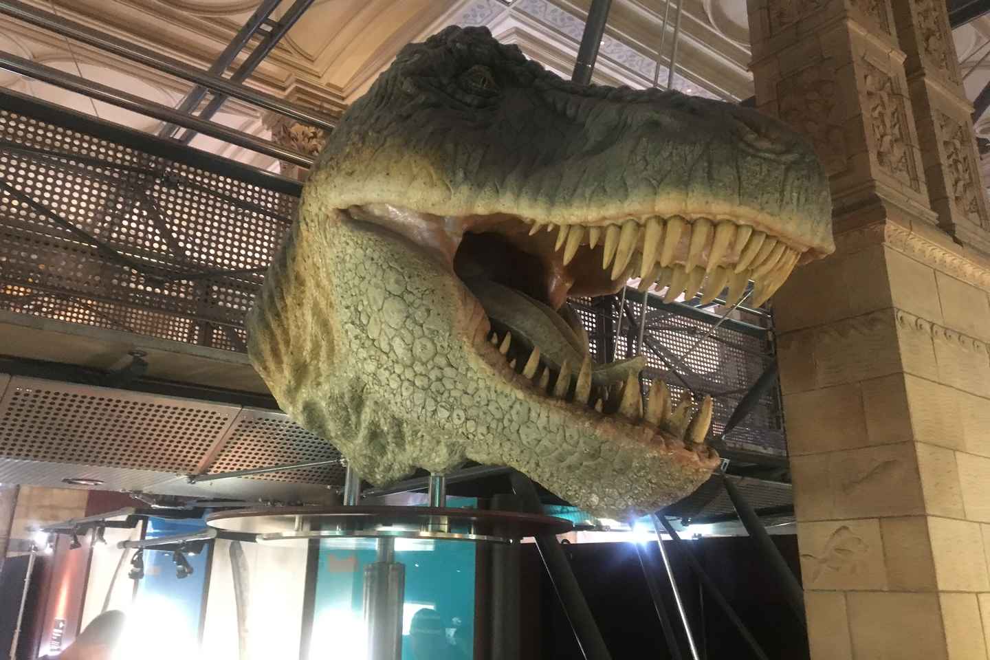 London: Natural History Museum Entry Ticket and Guided Tour