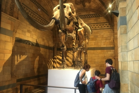 Londen: toegangsbewijs Natural History Museum en rondleiding
