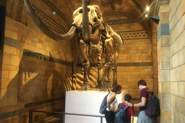 Londres : Musée d'Histoire Naturelle - Billet d'entrée et visite guidée
