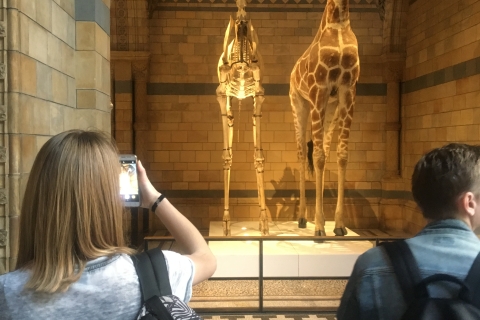 Londyn: Bilet wstępu do Muzeum Historii Naturalnej i wycieczka z przewodnikiem