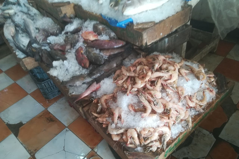 Hurghada: Private Guide City Tour & Shopping Stop From Alahyaa , Sahl Hasheesh, Makadi Bay , El Gouna,